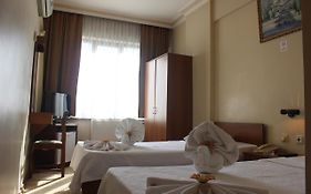 Hotel Kozluca
